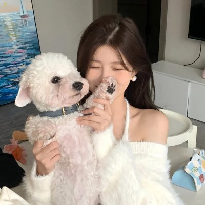 请求庇护